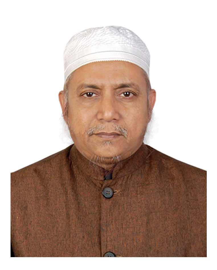 Mawlana Hedautul Islam